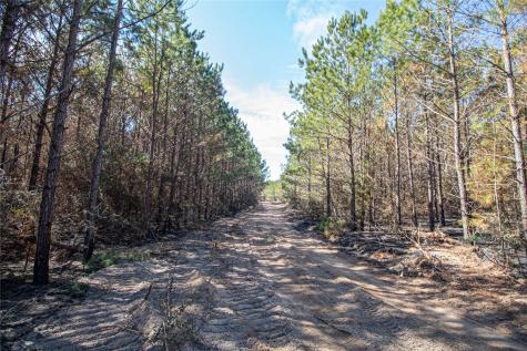 Tbd Sandydale Lane Livingston TX 77351