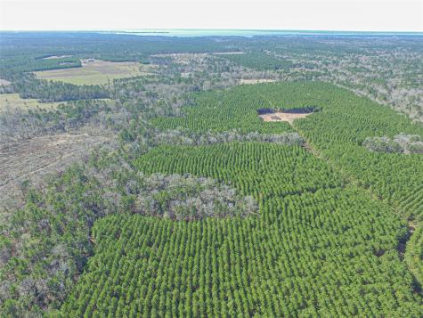 Tbd Sandydale Lane Livingston TX 77351