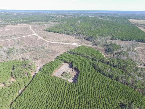 Tbd Sandydale Lane Livingston TX 77351