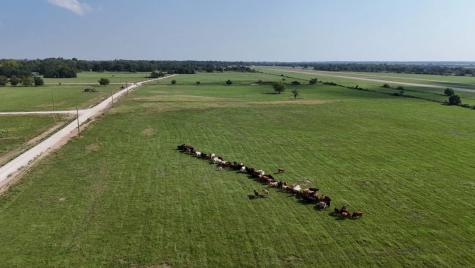 P2L15 County Road 463 Mexia TX 76667