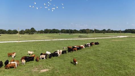 P2L15 County Road 463 Mexia TX 76667