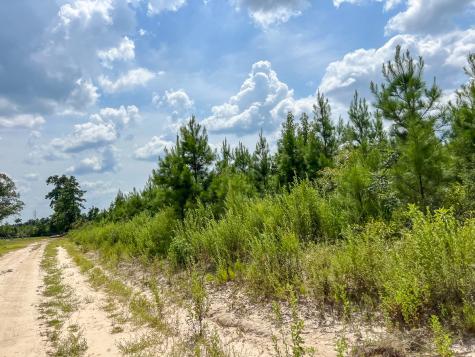 4 County Road 235 Browndell TX 75931