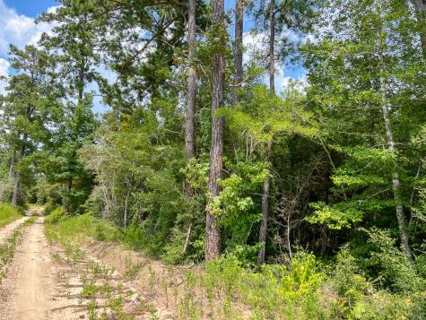 4 County Road 235 Browndell TX 75931