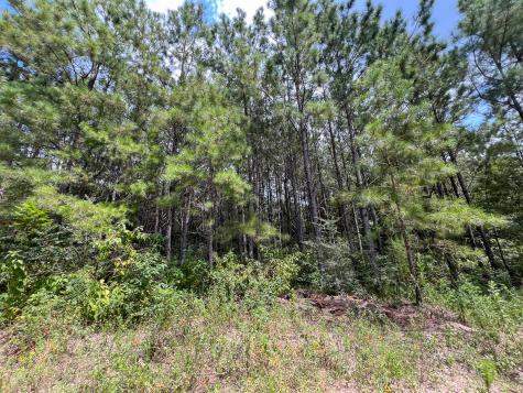 4 County Road 235 Browndell TX 75931