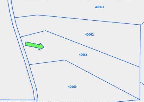 Tbd County Road 3385 Lovelady TX 75851