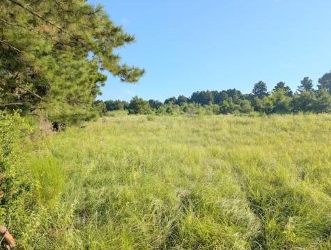 Tbd County Road 3385 Lovelady TX 75851