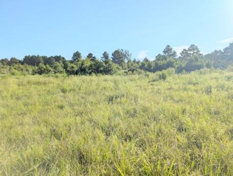 Tbd County Road 3385 Lovelady TX 75851