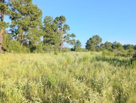 Tbd County Road 3385 Lovelady TX 75851