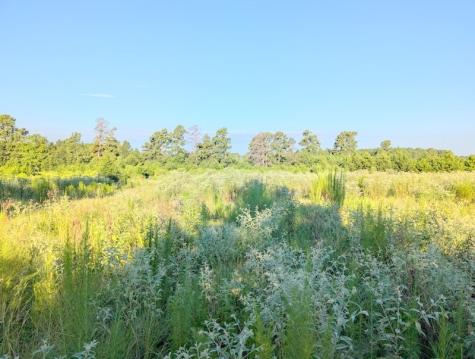 Tbd County Road 3385 Lovelady TX 75851