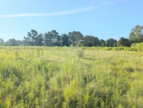Tbd County Road 3385 Lovelady TX 75851