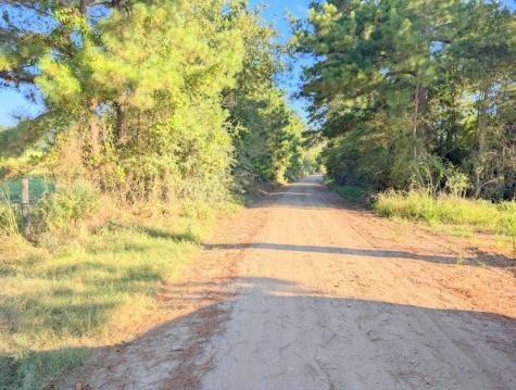 Tbd County Road 3385 Lovelady TX 75851
