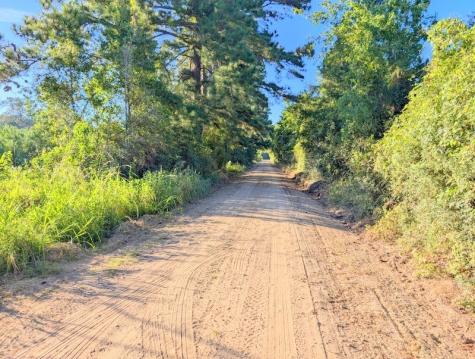 Tbd County Road 3385 Lovelady TX 75851