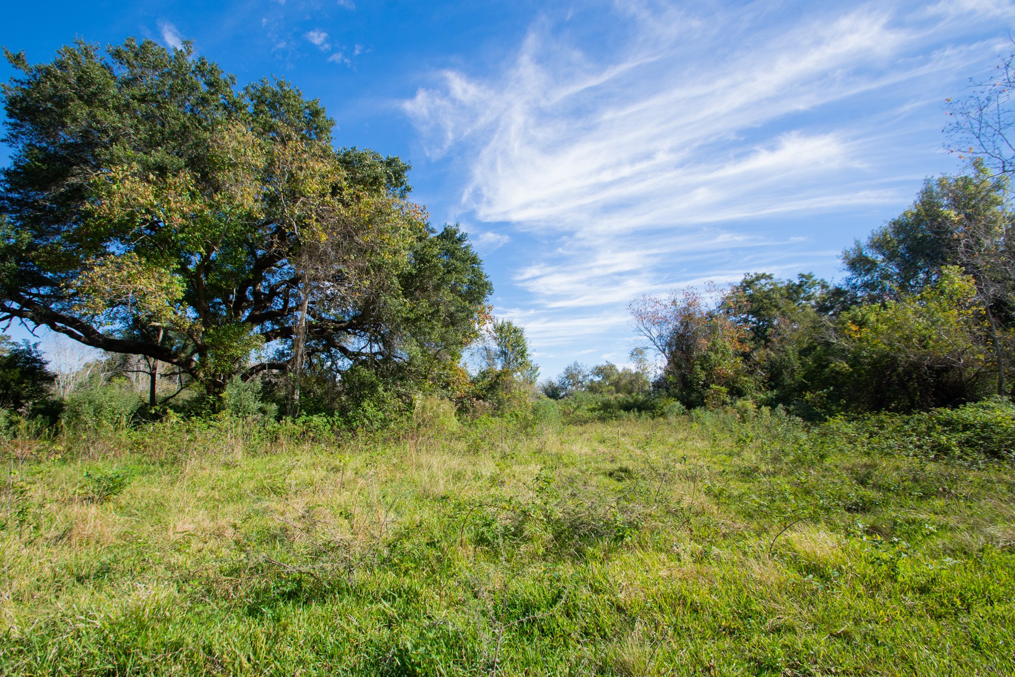 Tbd Highway 36 Jones Creek TX 77541