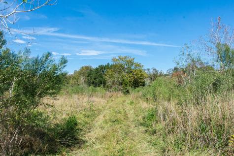 Tbd Highway 36 Jones Creek TX 77541