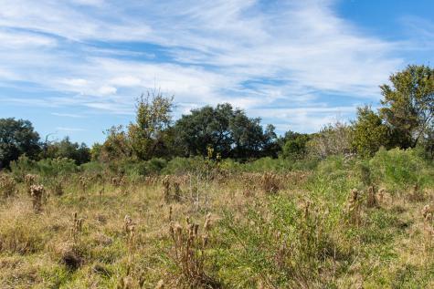 Tbd Highway 36 Jones Creek TX 77541