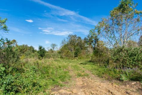 Tbd Highway 36 Jones Creek TX 77541
