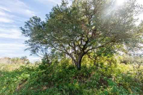 Tbd Highway 36 Jones Creek TX 77541