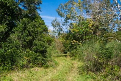 Tbd Highway 36 Jones Creek TX 77541