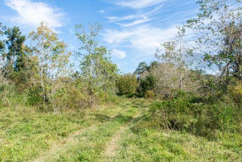 Tbd Highway 36 Jones Creek TX 77541
