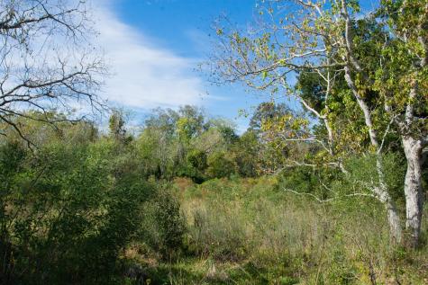Tbd Highway 36 Jones Creek TX 77541
