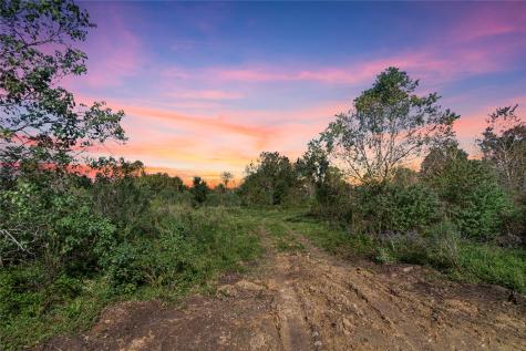 Tbd Highway 36 Jones Creek TX 77541