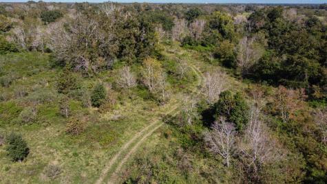 Tbd Highway 36 Jones Creek TX 77541