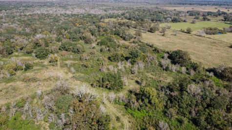 Tbd Highway 36 Jones Creek TX 77541