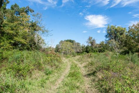 Tbd Highway 36 Jones Creek TX 77541