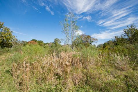 Tbd Highway 36 Jones Creek TX 77541