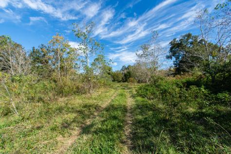 Tbd Highway 36 Jones Creek TX 77541