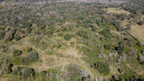 Tbd Highway 36 Jones Creek TX 77541
