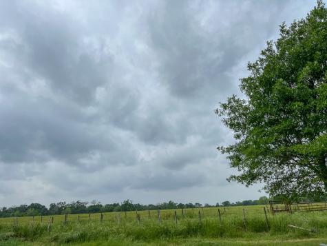 1 County Road 3630 Lovelady TX 75851