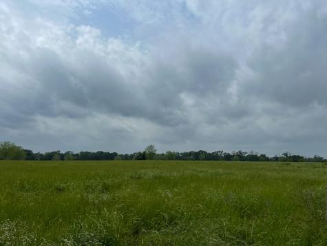 1 County Road 3630 Lovelady TX 75851