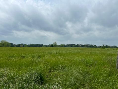 1 County Road 3630 Lovelady TX 75851