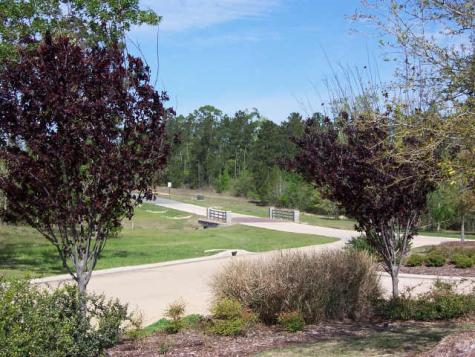 12627 Shady Woods Trail Montgomery TX 77316