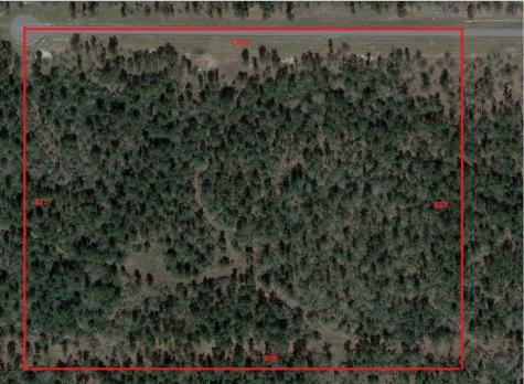 Tbd Westview - 20 Acres Huntsville TX 77320