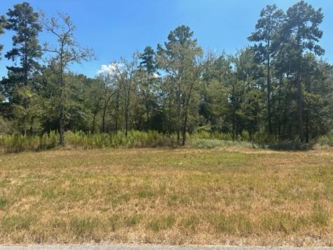 Tbd Westview - 20 Acres Huntsville TX 77320
