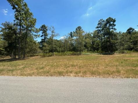 Tbd Westview - 20 Acres Huntsville TX 77320