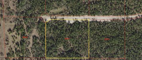 Tbd Westview - 20 Acres Huntsville TX 77320
