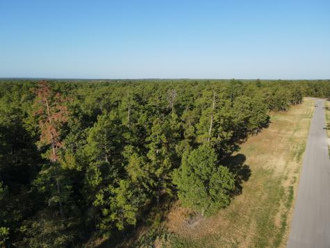 Tbd Westview - 20 Acres Huntsville TX 77320
