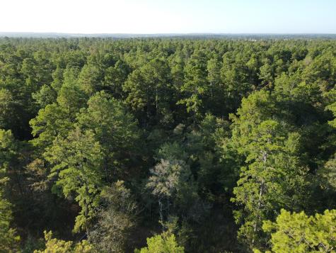 Tbd Westview - 20 Acres Huntsville TX 77320