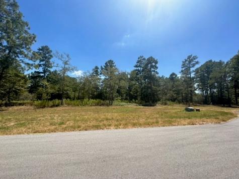 Tbd Westview - 20 Acres Huntsville TX 77320