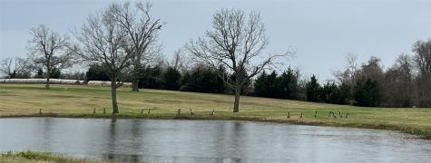 3283-40 Fm 2562 Road Anderson TX 77830