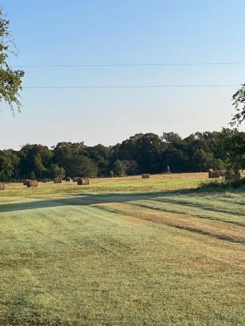 40606 Holik Road Hempstead TX 77445
