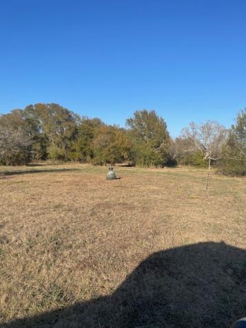 40606 Holik Road Hempstead TX 77445