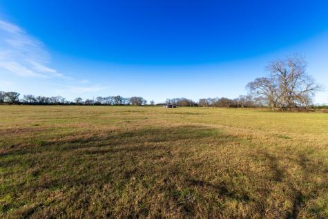 1230 Southfield Trail Lovelady TX 75851
