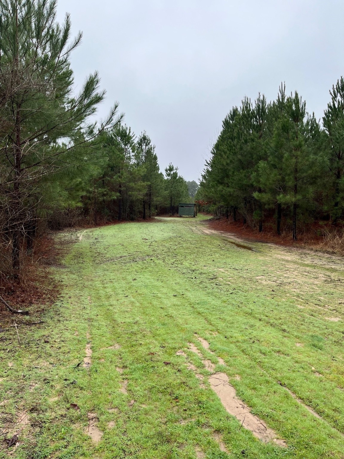 Buck Bay Private Road Off Fm1751 Bronson TX 75930