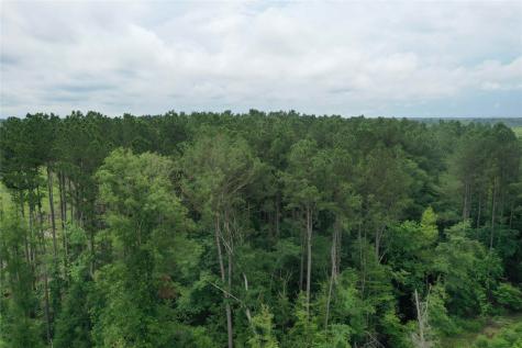 Buck Bay Private Road Off Fm1751 Bronson TX 75930