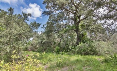 Tract 12 Pr 4061 Edna TX 77957