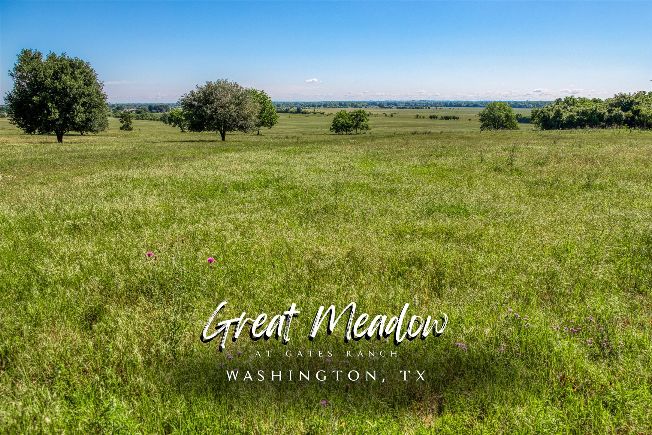 000 Egypt Lane Washington TX 77880